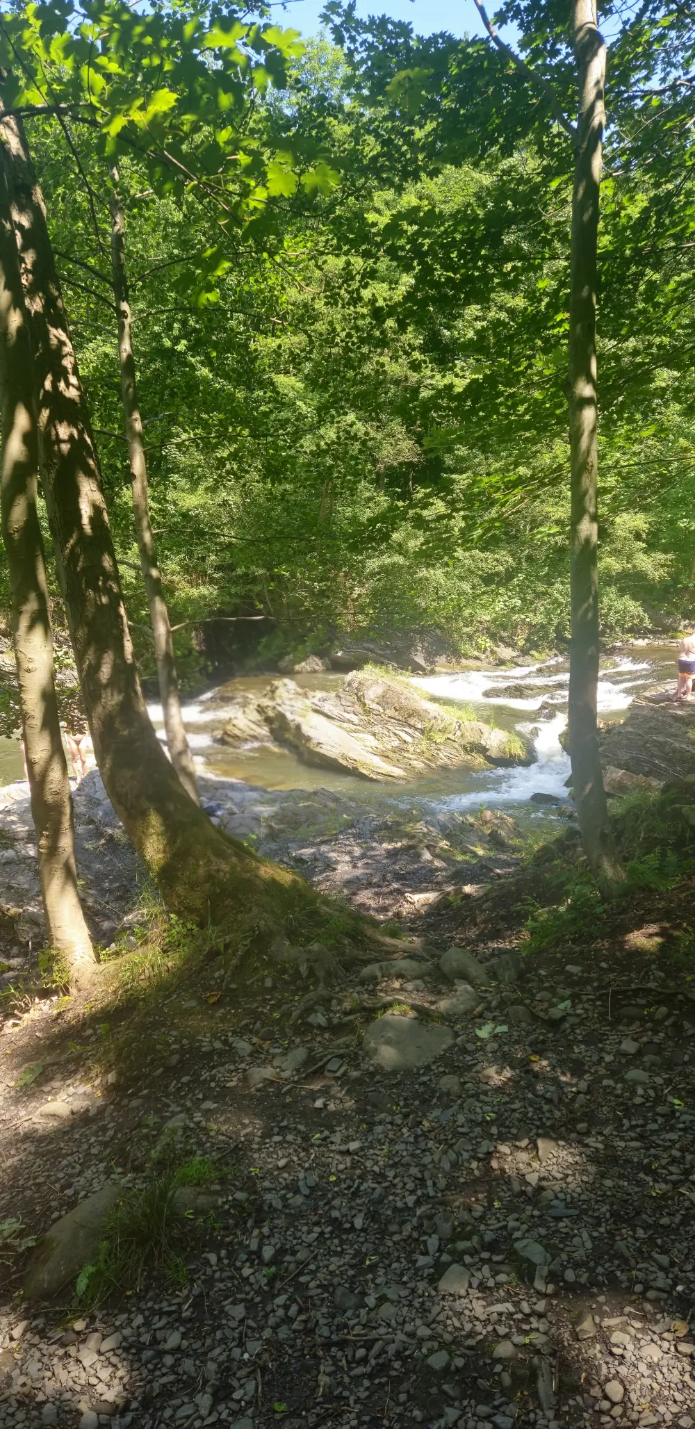 Lesní cesta k řece mezi stromy